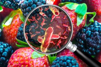 Magnifying glass showing bacteria over fruit.