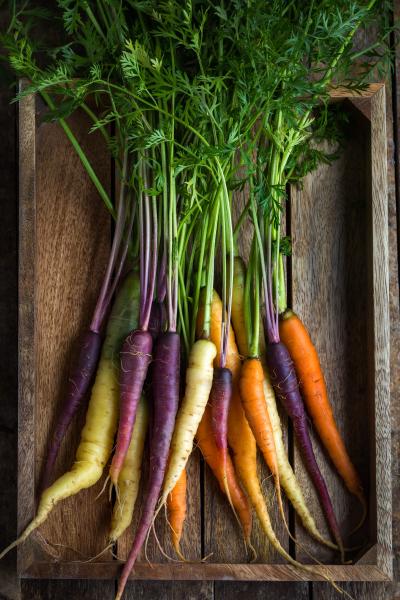 Rainbow carrots in a crate.